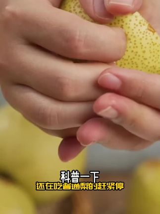 《明阳家的砀山梨》酥梨正宗皮薄酥脆多汁新鲜现摘现发特产水果#好用#上热门 #热门