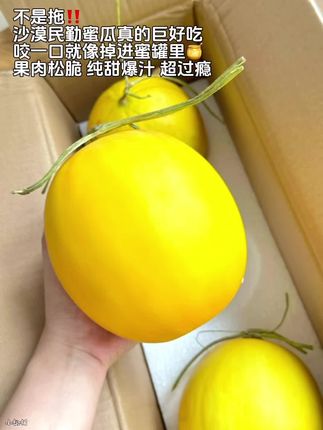 不是拖,沙漠民勤蜜瓜真的巨好吃!一口下去像掉进蜜罐里!果肉松脆,口口爆汁,甜到心坎里!#民勤蜜瓜 #黄河蜜瓜 #蜜瓜 #应季水果 #快来一起尝个鲜