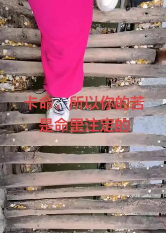 什么好,都不如命好👌#命好的女人