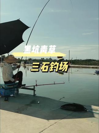 黑坑青草 #钓鱼 #钓草鱼 #钓草鱼技巧 #钓草鱼饵料分享