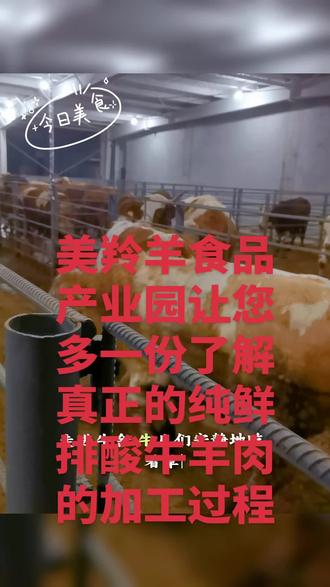 现代化食品产业园的透明生产过程