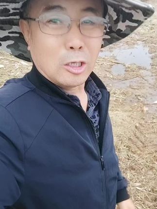 玉米今年大灾难,小时候旱熟了又淹。