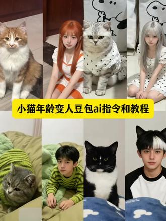 小猫折合年龄变人图的豆包ai指令和教程来了 小猫年龄变人ai指令制作教程 小猫年龄变人豆包ai指令 小猫变人图ai指令 小猫变人豆包ai指令生成入口 豆包ai小猫年龄变人指令 小猫年龄变人ai生成入口 小猫年龄变人豆包指令#豆包ai#豆包P图已经nextlevel了 #养猫人 #养猫人的快乐 #养猫日常