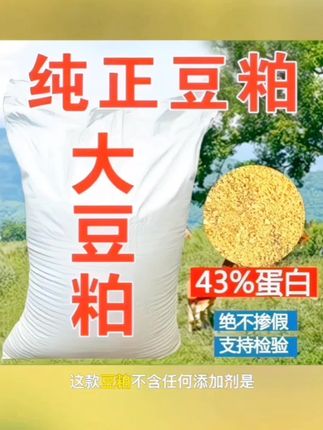 厂家直销优质豆粕饲料 #豆粕饲料 #鸡鸭鹅养殖 #三农养殖 #牛羊养殖 #畜牧养殖