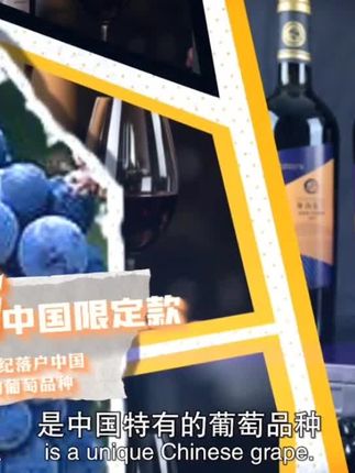 宁夏贺兰山东麓葡萄酒产区#红酒 #葡萄酒 #宁夏贺兰山东麓葡萄酒 #宁夏红酒 #干红