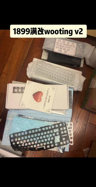 1899满改 wooting60v2 gogogo#客制化键盘#瓦#wooting