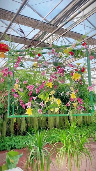 第十六届冬季农博会#冬季农博会 #农博园 #同城推荐 #长春好去处 #过年去哪玩