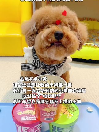 别的小狗有的,咱也不能少!看看毛孩子吃的嘎嘎脆 这就是幸福的模样吧!#妈呀太香了#萌宠#养宠阶段指南