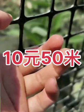 #圈地养殖网 #鸡鸭鹅养殖 #果园围栏网 #鱼塘防护网