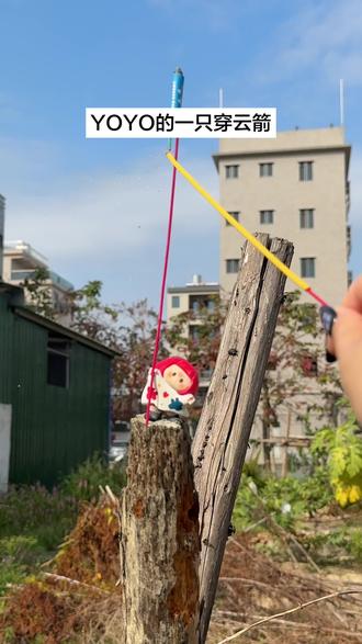 YOYO的一只穿云箭
#YOYO #萌 #烟花 #冲天炮 #YOYO举万物