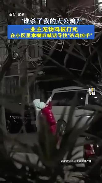 在北京大姐在小区养公鸡,被人悄悄打死了,每天用大喇叭在小区里喊,新闻媒体的配乐也真是有意思。 #法治社会底线 #公共空间文明 #人与动物相处之道 #城市文明建设 #闲鱼拍赚舞挑战赛