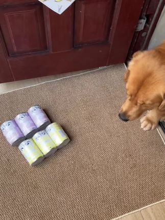 9.9一罐400克!!还是伍尔夫大品牌!!养狗人一定要囤!!#萌宠好物