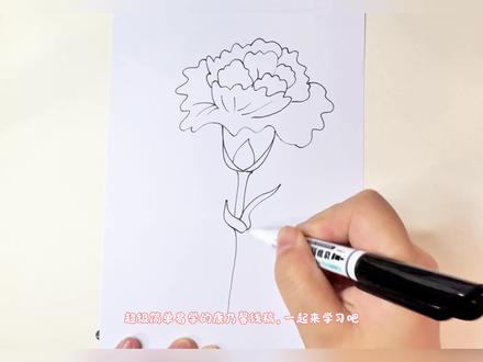 超级简单易学的康乃馨线稿,一起来学习吧#跟着抖音学画画#零基础学画画#简笔画 #简单的花朵画法 #母亲节