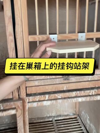 #又在骗我养鸽子 #鸽子实木站架 #鸽子站架栖架