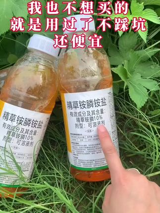2牛筋草,小飞蓬,芦苇,水花生,香附子,鬼针草,葛根藤,果园,茶园,田梗#精草铵膦铵盐 #果园管理 #农资肥料 #无限回购的宝藏单品 #田间管理