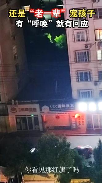 “五星红旗会回应每一个号召它的人”
