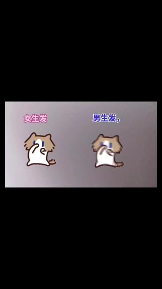 月薪喵#表情包 #我真的特别爱你 免费领在#剪映