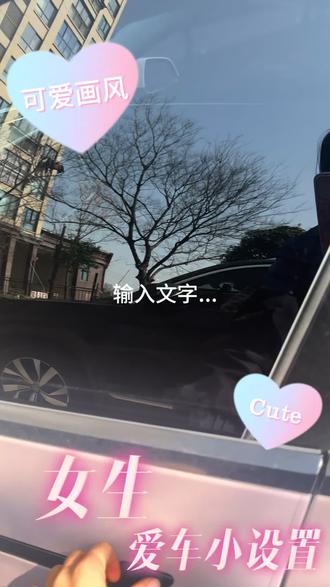 #厉害了我的车 #秀出你的神座驾 特斯拉自动化设置 gogogo