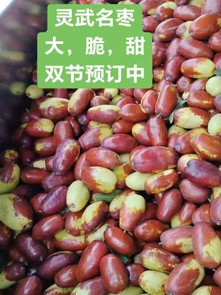 #口感特别好 #优质农产品