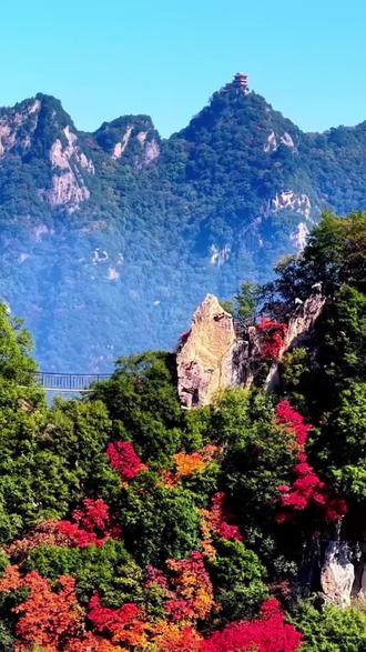 #过年 #过年旅游 #过年去哪玩 #溜娃好去处 #溜娃
太划算了吧,几个景区都回本了,有需要的赶紧团上,有效期内按照一卡通使用标准就可以。