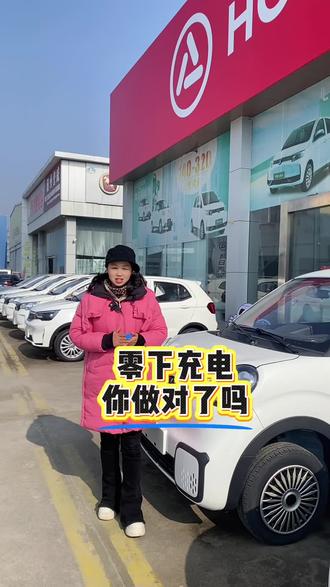 零下充电你做对了吗?#鸿日 #鸿日电动汽车 #低速电动汽车 #低速老年代步车 #随州鸿日电动汽车