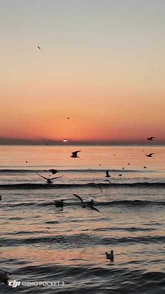 适合发呆/冥想的: ོ 阿那亚 ོ 日出全程 🌅(12月14日,1.75倍速) ོ
或许有人会感兴趣
鸡皮疙瘩起来了
#海边
#日出
#阿那亚