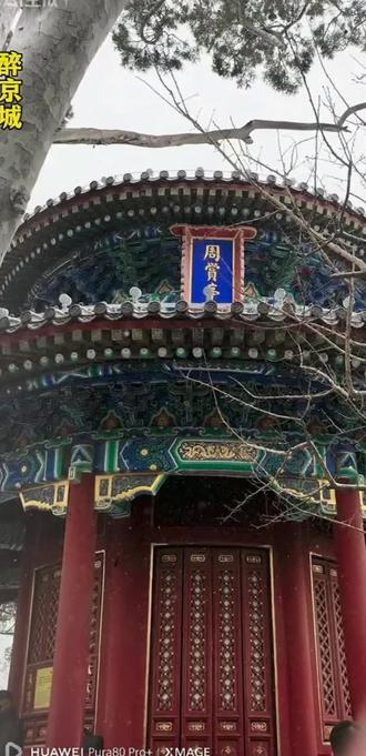 约不上故宫去看雪怎么办?跟我来。带你去C位赏雪#故宫 #下雪了