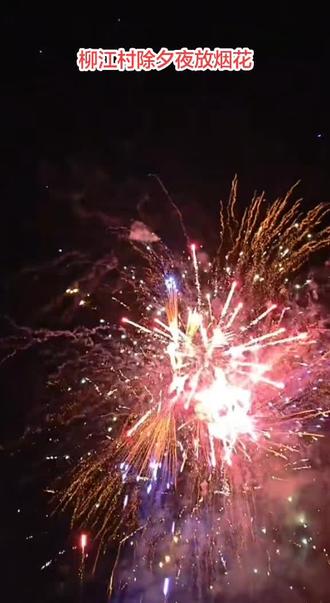 2026年除夕节放烟花🎆