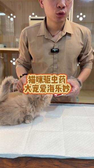 大宠爱跟海乐妙驱虫种类多效果好,而且安全稳定对猫咪没伤害 #猫咪驱虫药 #大宠爱 #大宠爱体内外驱虫 #海乐妙 #猫咪驱虫药推荐