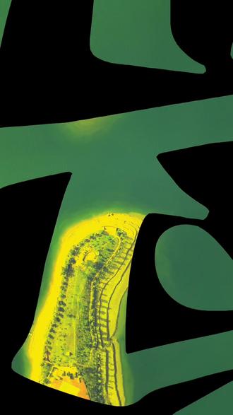 浴龙岛小菜园#澜沧江浴龙岛#找老杜不迷路 #浴龙岛老杜 #钓鱼的乐趣只有钓鱼人懂 #钓鱼是抖音第一休闲运动