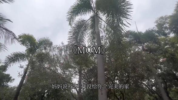 “总有一束光 会照亮你的路”#音乐分享#MOM 来汽水设置手机铃声