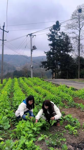 哎,这小焜,一天天的让人担心#农村 #我的乡村生活 #姐妹 @小焜和钰琳