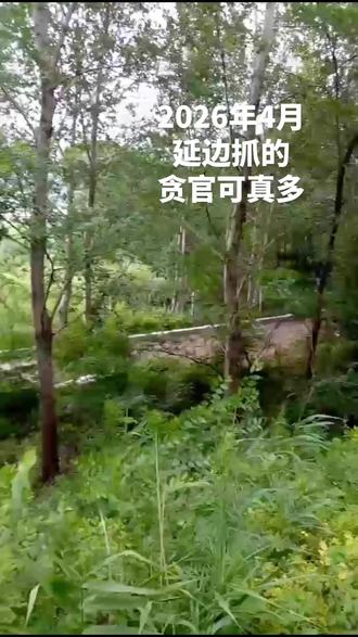 贪官落网,赃款搞建设工程