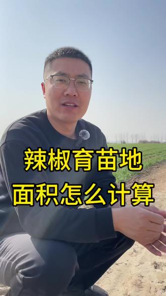 辣椒育苗地面积怎么算#辣椒种植#辣椒育苗#辣椒管理