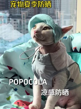 炎热的夏天,快给毛孩子安排上一件舒适的凉凉衣#宠物衣服 #宠物防晒背心 #萌宠好物 #科学养宠攻略 #宠物用品