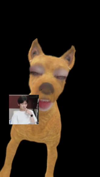 国宴级别的真没开玩笑#奇文#左奇函#杨博文#同人文