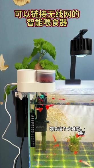 如果回老家一个月,你的小鱼该怎么办?喂食这个大难题,今天我找到了“终极解法”!#它乐喂食器 #它乐防潮水族喂食器 #它乐自动喂食器 #鱼缸自动喂食器