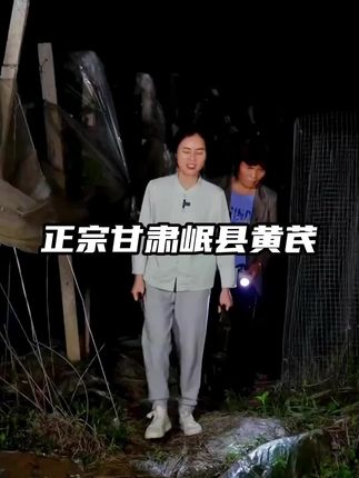 正宗甘肃岷县核心产区黄芪,片片金盏银盘菊花心,品质非常好,小姐姐们赶紧囤起来#玉凤鸣 #广西母女 #黄芪 #甘肃岷县黄芪 #优质农产品