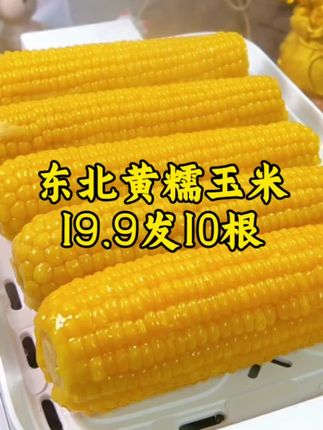 19.9到手10根,而且还都是大棒🌽#东北黄糯玉米 又大又甜又香糯#糯玉米的营养价值 #软糯香甜 大人小孩都爱吃,太香了#哇又便宜又好吃 #粗粮