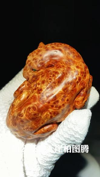 探秘古木至尊■传说中的烂木头巧夺天工秒变花豹…太行崖柏,一种生长在中国太行山区的珍贵药用天然植物香材,因其生长环境恶劣,生长速度极慢,所以木质坚硬,纹理独特,被誉为“木中之王”,它的纹理犹如大自然的鬼斧神工,每一块崖柏都像是大自然的艺术品,独一无二。
太行崖柏的纹理多变,有的如同山水画,有的如同花鸟画,有的如同人物画,有的如同抽象画,每一块崖柏都像是一幅大自然的画作,让人赞叹不已。
太行崖柏的颜色也是多变,有的深红色,有的淡黄色,有的黑色,有的白色,有的紫色,每一种颜色都显得那么高贵,那么典雅。
太行崖柏的香气也是独特,有一种淡淡的香气,让人闻之心旷神怡,有一种深深的香气,让人闻之沉醉其中,有一种浓浓的香气,让人闻之如痴如醉。
太行崖柏的收藏价值也是极高,因为它的稀有性和独特性,使得它的收藏价值不断上升,被誉为“木中的黄金”。
太行崖柏,大自然的鬼斧神工,艺术的瑰宝,值得我们去欣赏,去品味,去收藏…#柏公茶童 #崖柏图腾 #太行崖柏珍品 #文玩崖柏珍品 #崖柏真香