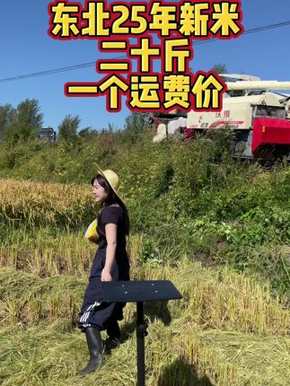 #粮农膳稻 2025新米上市!正宗东北大米,冰府米,涨粉限时福利2块多一斤。数量有限,先到先得!快快点击小黄车吧! #东北大米#大米 #香米 #东北通河大米最好吃
