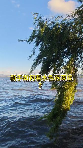 钓鱼时水深位置挑对,
会有意想不到的效果哦!
快去实战试试吧。#钓鱼小技巧分享 #创作者中心 #创作灵感 #野钓 #野钓技巧