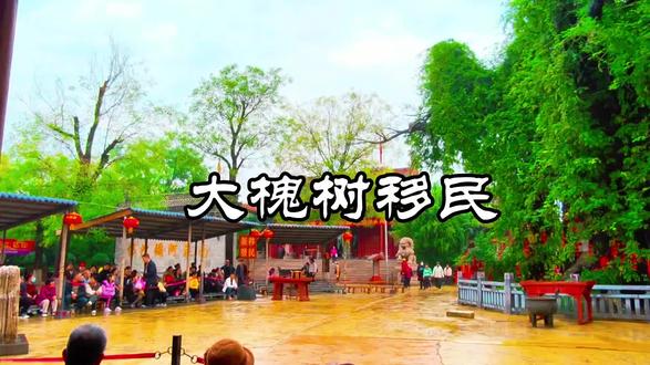 第1174集 大槐树移民, 洪洞大槐树移民的真实原因,是元末明初中原地区因战乱、灾荒导致人口锐减和经济崩溃,而山西相对安定且人口稠密,明朝政府为恢复生产、均衡人口分布而实施的强制性移民政策,洪洞县大槐树作为官方移民集散地成为这一历史事件的象征。元末明初(14世纪中叶),中原地区(河南、河北、山东等)因长期战乱(如元末农民起义、军阀混战)、黄河泛滥、瘟疫肆虐,人口锐减至不足原三成,土地荒芜,经济濒临崩溃。相比之下,山西因地形封闭(太行山、吕梁山环绕),避开了大规模战乱和自然灾害,风调雨顺,人口激增。洪武十四年(1381年),山西人口约410万,远超河南(189万)和河北(189万)总和,形成严重人口反差。明朝为恢复农业生产、均衡劳动力,决定从山西移民以填补中原空虚,这是移民的根本动因。明朝政府(洪武至永乐年间,1368-1424年)通过强制手段组织移民,具体包括:强制迁移方法:按“四口之家留一、六口之家留二、八口之家留三”的比例征派,采用招诱、征派甚至诱骗(如假称“不愿迁者到大槐树集合”)的方式,确保移民规模。洪洞县地处晋南交通要道,城北广济寺驿站场地开阔,便于集中管理。所有山西移民需在此办理手续、领取“凭照川资”(迁移许可证和路费),然后分遣至全国18个省份。广济寺前的汉槐成为移民启程前的最后记忆点,升华为精神象征。历时50余年,迁出超百万人口,涉及1230个姓氏,形成“百家姓”全覆盖的移民网络。下集播出《广济寺》