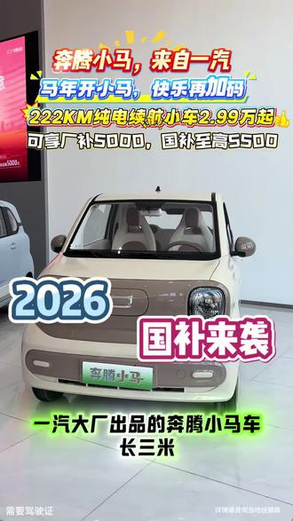 2026年国补来袭,快来滨州东森申请补贴吧#奔腾小马来自一汽#精致纯电看小马#奔腾小马潮趣满格 #奔腾小马纯电动微型车