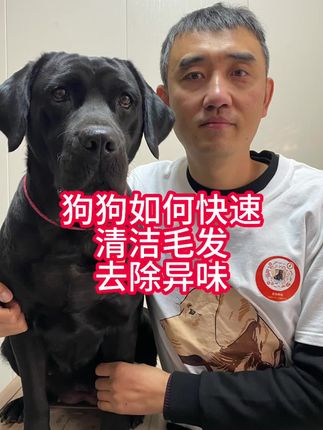 清洁毛发才是刚需洗澡不是刚需,狗狗脏了可以用这款纯露干洗泡沫擦拭毛发,去除污渍,留下淡淡清香味。#养狗经验分享 #科学养宠攻略 #狗狗洗澡 #新手养狗攻略 #萌宠好物