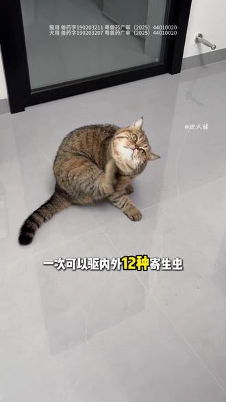 无需口服的内外同驱,还能预防耳螨。覆盖广,省心省力#驱虫药 #内外同驱 #普安特 #科学养宠攻略