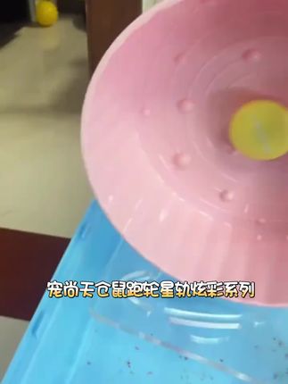 宠尚天仓鼠跑轮星轨炫彩系列花枝鼠鹦鹉金丝熊笼子装饰跑球跑步机