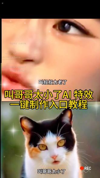 AI 叫哥哥太小了一键免费制作入口教程来喽,叫哥哥太小了原视频AI 教程,巴黎欧莱雅,这低泡音简直了。#剪映 #萌猫 #萌猫搞笑视频 #猫里猫气 #低泡音