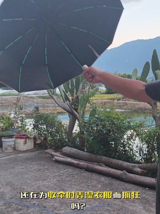 雨宝雨伞#雨宝雨伞