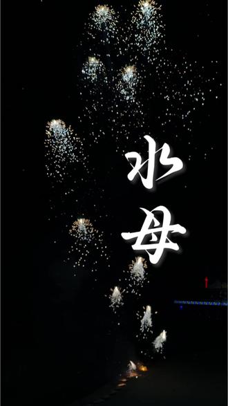 1大箱20盒180块的水母🪼烟花#水母烟花